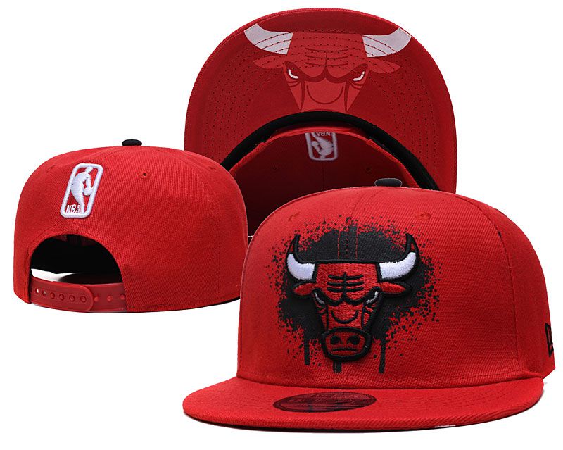 2022 NBA Chicago Bulls Hat YS12061->nba hats->Sports Caps